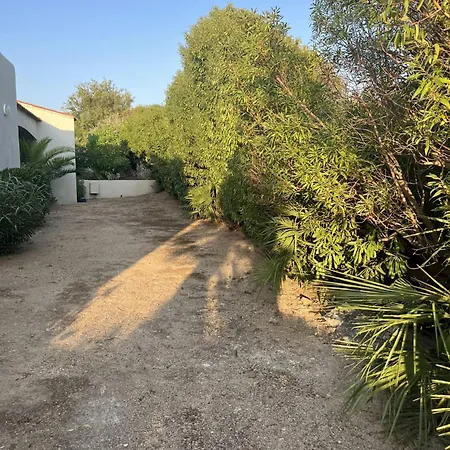 Panoramique Avec Vue Et Montagne A *