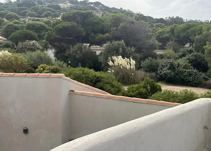 Panoramique Avec Vue Et Montagne A Corbara